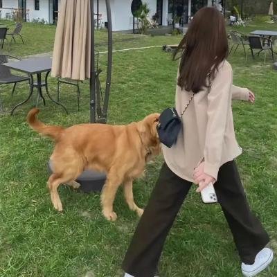 无限爱可能